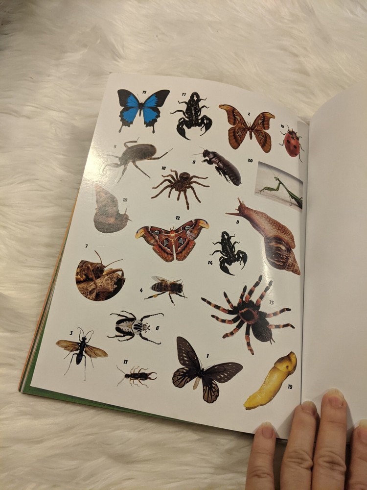 Insect Bug Books With Plastic Bugs