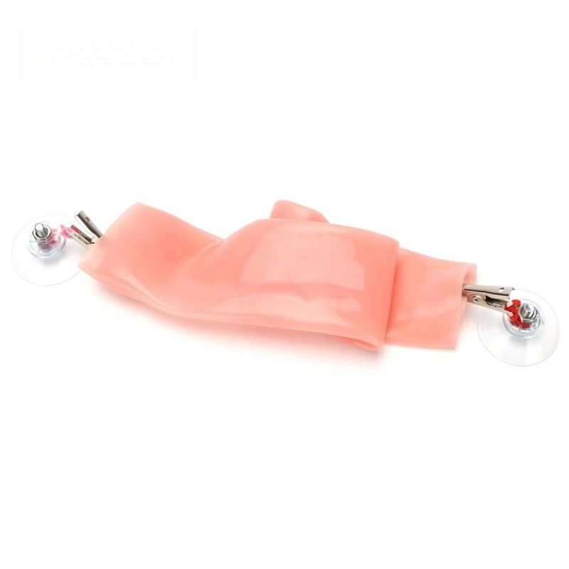 Laparoscopic Surgery Simulation Intestinal Anastomosis Training Module Intestine