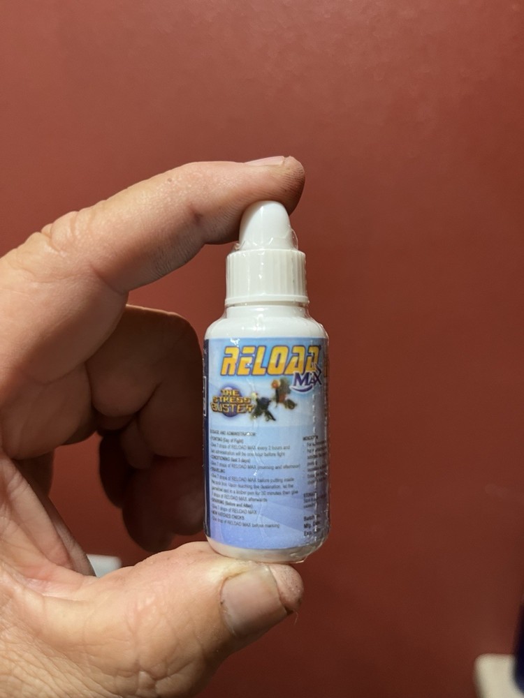 Reload - Hatching Eggs , poultry