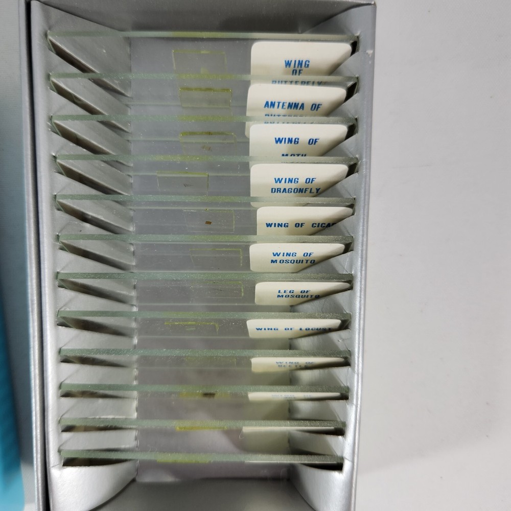 Vintage Micro-Data Specimen Cards for Microscopes & Glass Slides