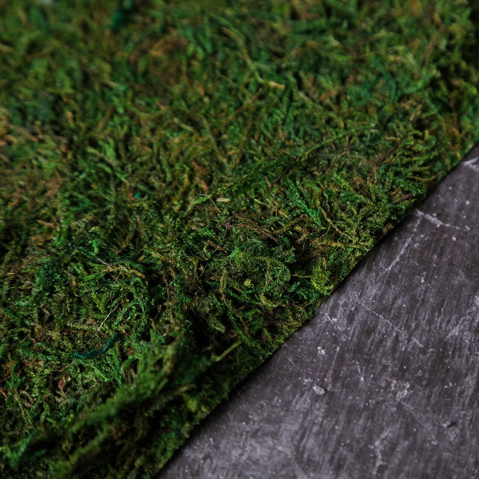 18" x 16" Green Natural Preserved Moss Sheet Party Wedding Crafts Decorations
