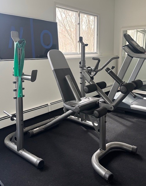 multi-purpose weight bench