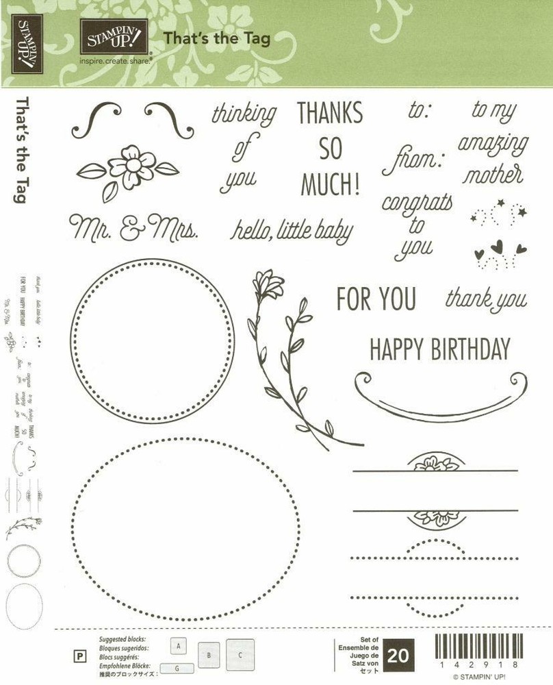 Stampin' Up! THAT'S THE TAG & TIMELESS TAGS THINLITS Dies - NEW
