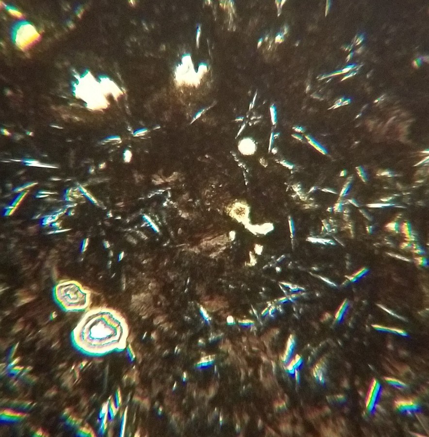 Thin-section Mount from DSDP Hole 396B Petrographic Microscope Slide 46-396B-8-2