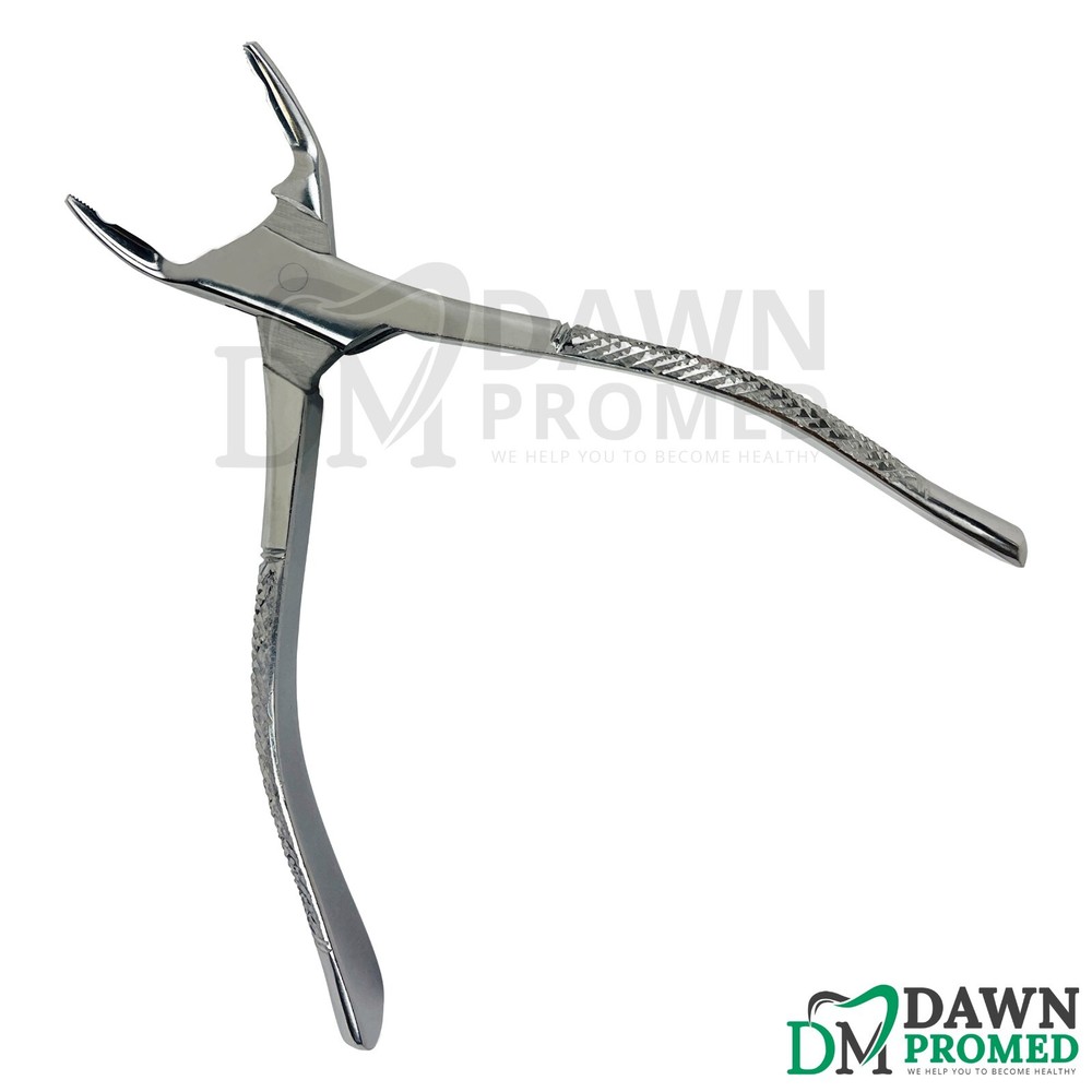 Dental Extracting Forceps #150XAS Serrated, Split Beak Design for Upper Teeth