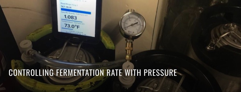 Version 3 TILT™ Bluetooth HYDROMETER AND THERMOMETER - Beer Fermenting made easy