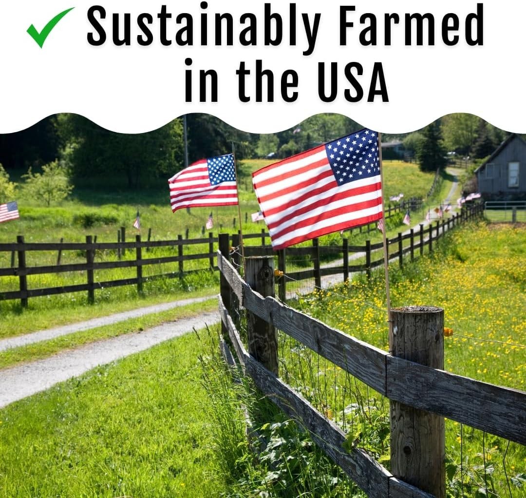 Buff Clucks Grub Fuel Black Soldier Fly Larvae for Chickens - Nutrient-Packed