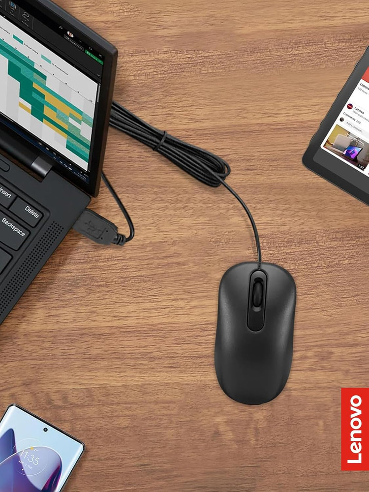 100 Wired USB Computer Mouse for PC, Laptop, Computer with Windows - Full-Size -