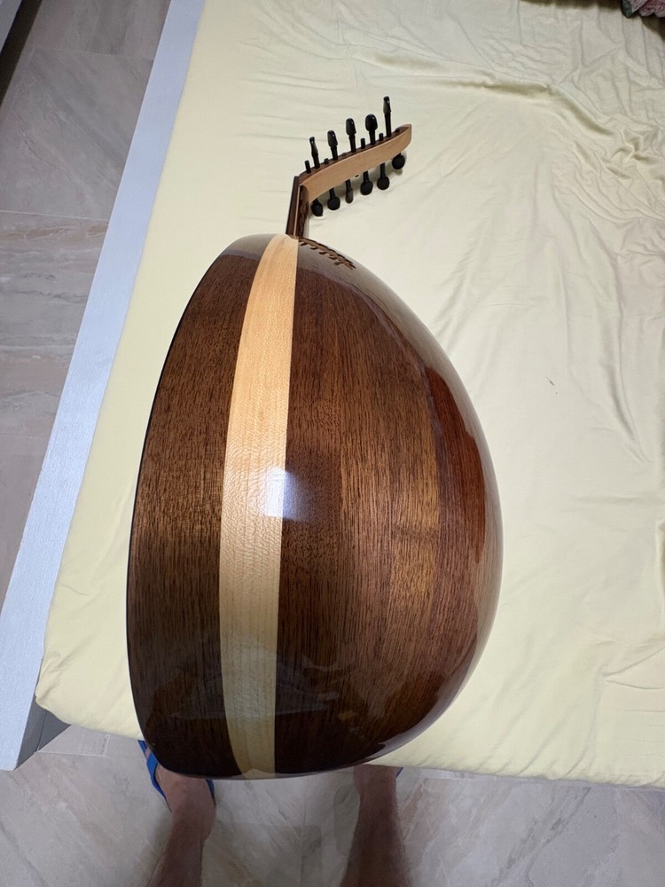 Professional oud instrument