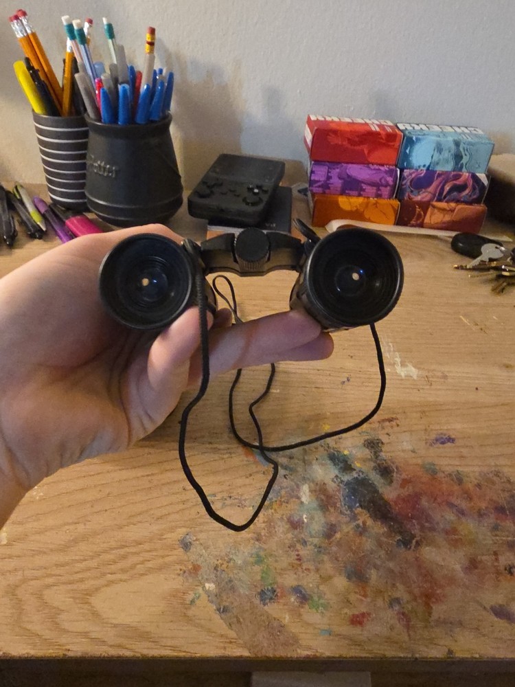 Bushnell Binoculars With Case
