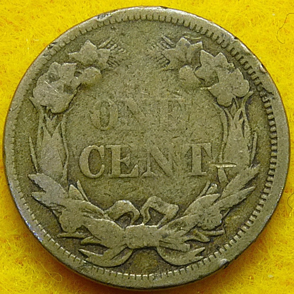 1858 Small Letters Flying Eagle Cent with full eagle and some feather detail