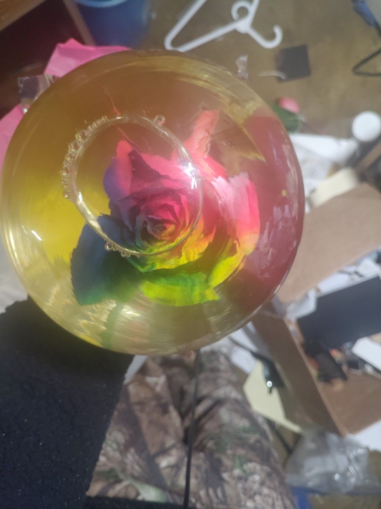 Rainbow Enchanted Rose Globe