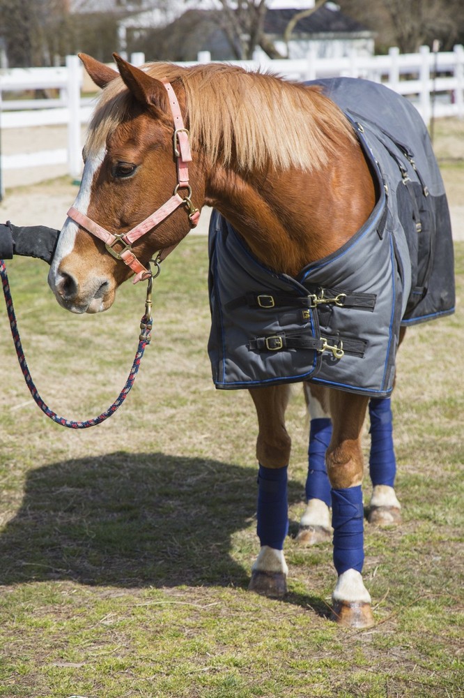 Polo Wraps Full Set, Black