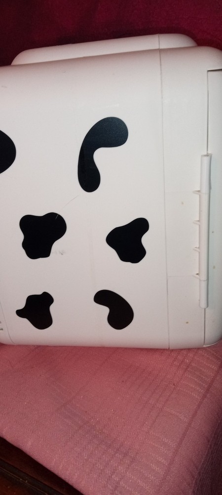 Mini Fridge / Warmer