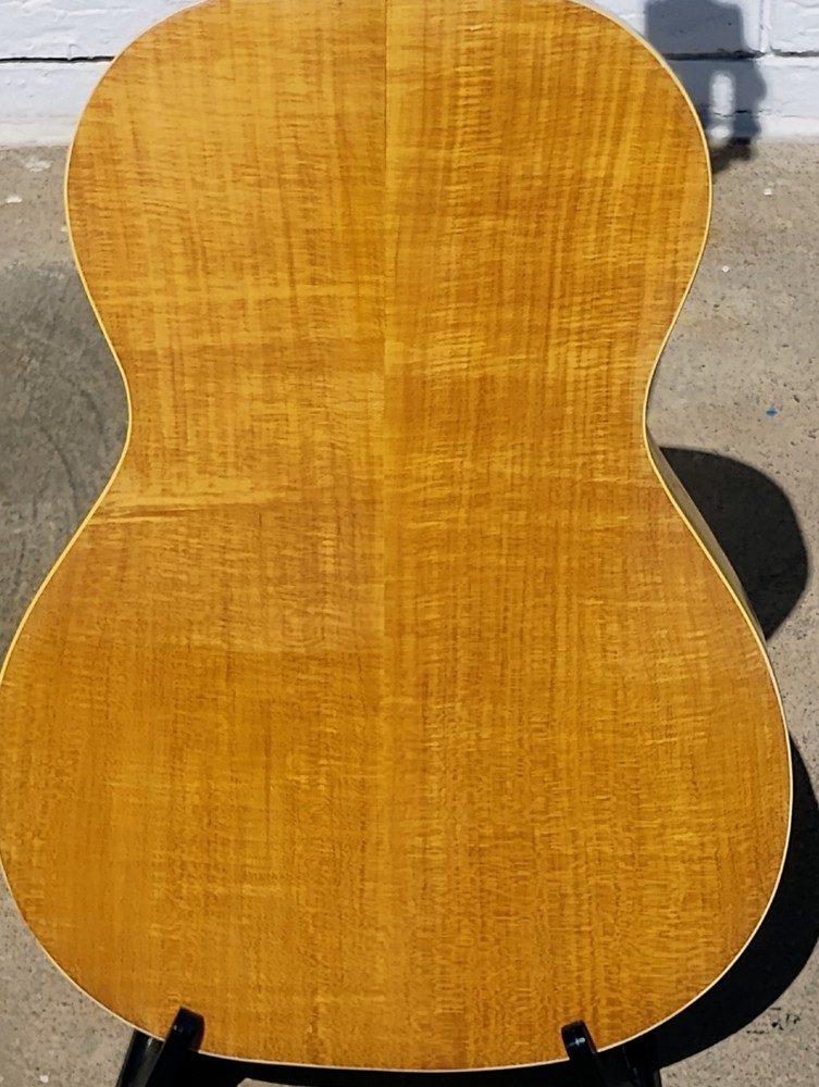 Nardan Acoustic Guitar w/CSC! -LL