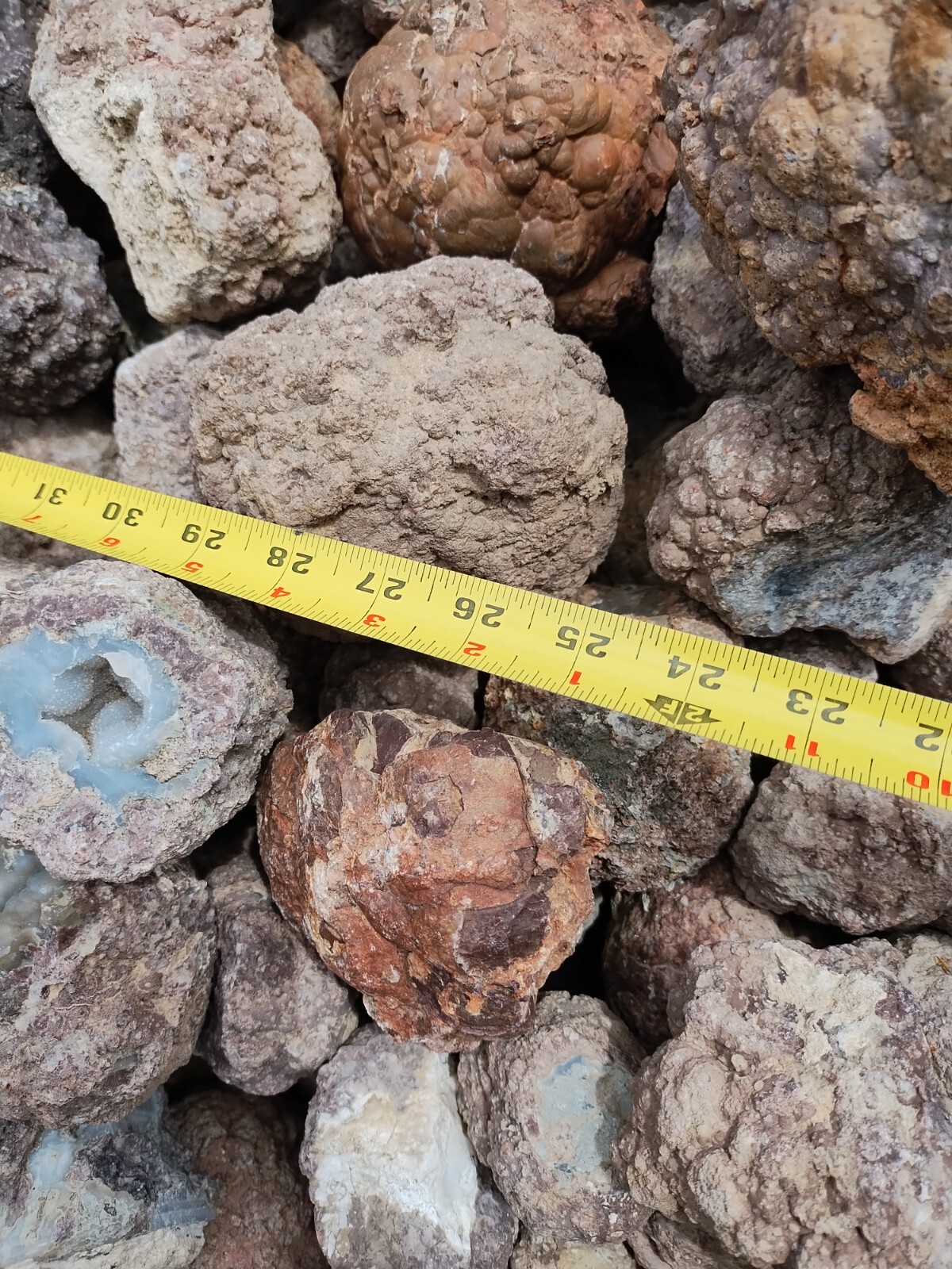 Thundereggs, Oregon, 4 Pound lot, Whole Uncut Rough, Agate