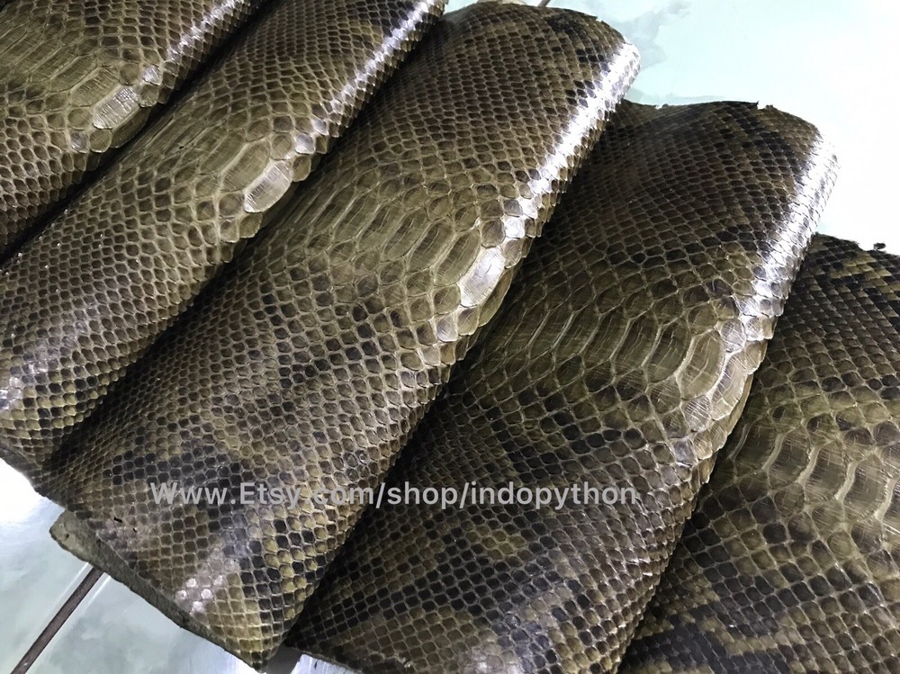 Genuine Python Leather, Exotic Snake Skin, Green SnakeSkin, Green Python Leather