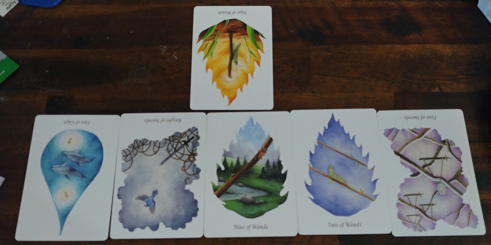 3 Card, one question intuitive tarot or oracle card reading.