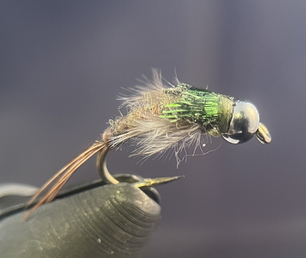 Sparkle Wing Green Drake