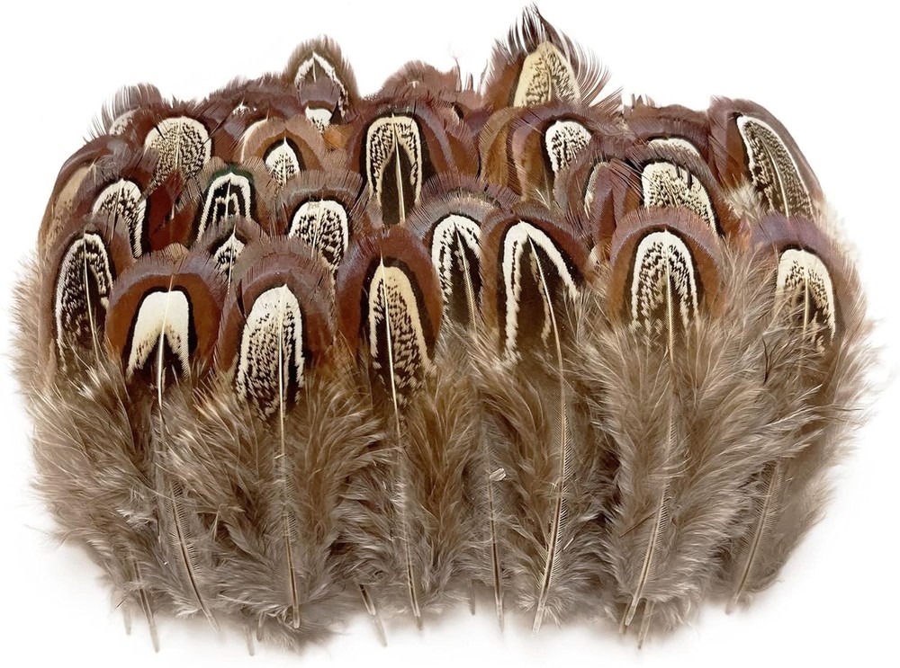 100 pcs Eco-Friendly Pheasant Feathers 2-3 inch for Crafting & Decorating