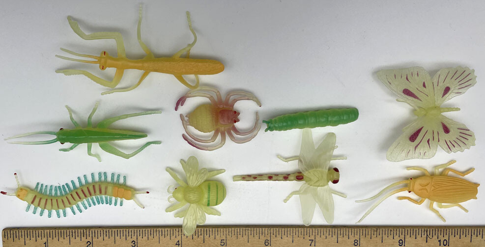 Insects - Glow in the Dark