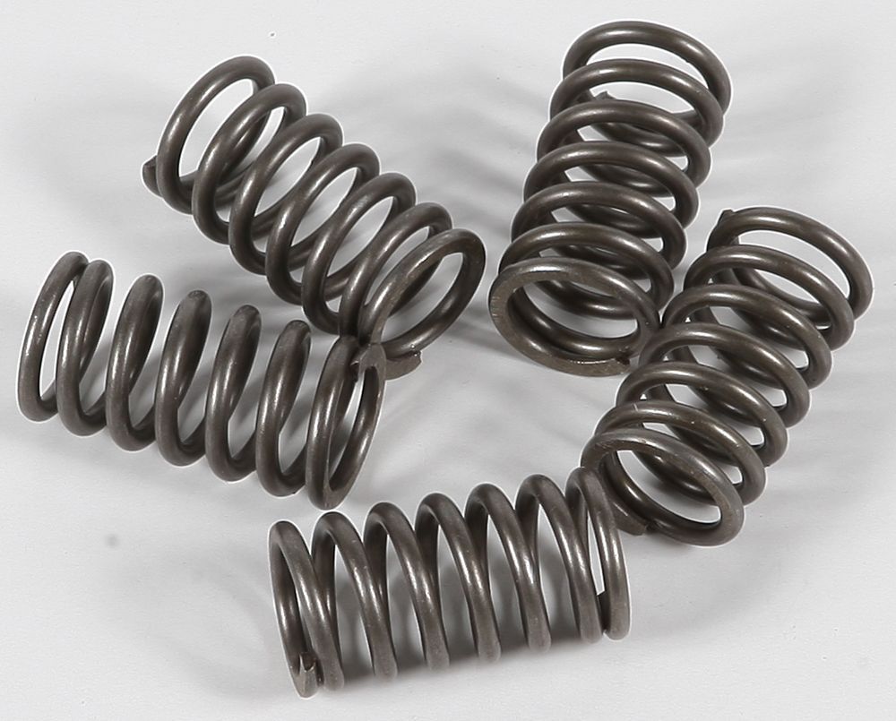 EBC CSK Clutch Spring Kit - CSK118