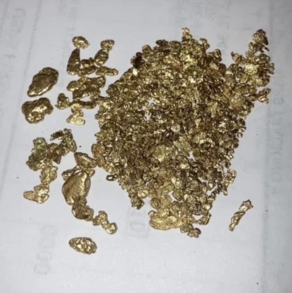Gold Paydirt Loaded With Gold