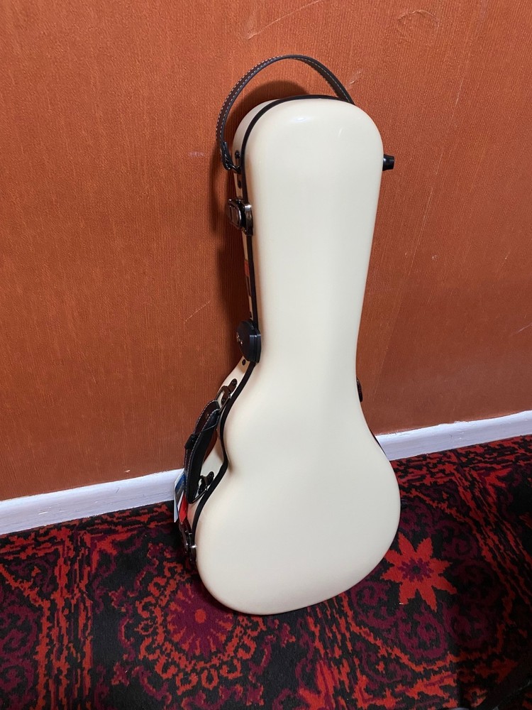 Crossrock Mandolin Case CRF2020MAFIV