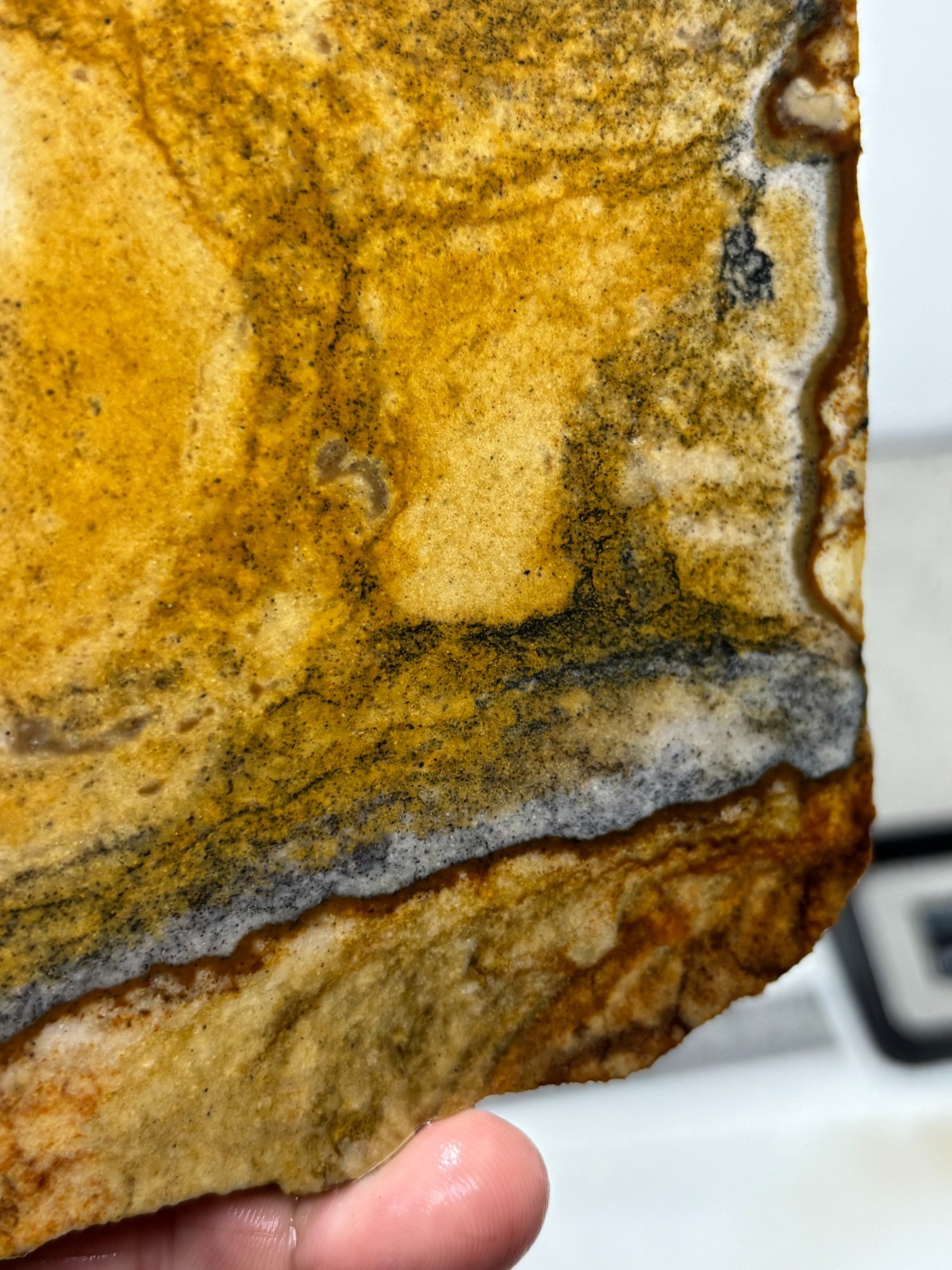 Disaster Peak Picture Jasper Slab Cabbing Lapidary Collecting Combo Ship Avail