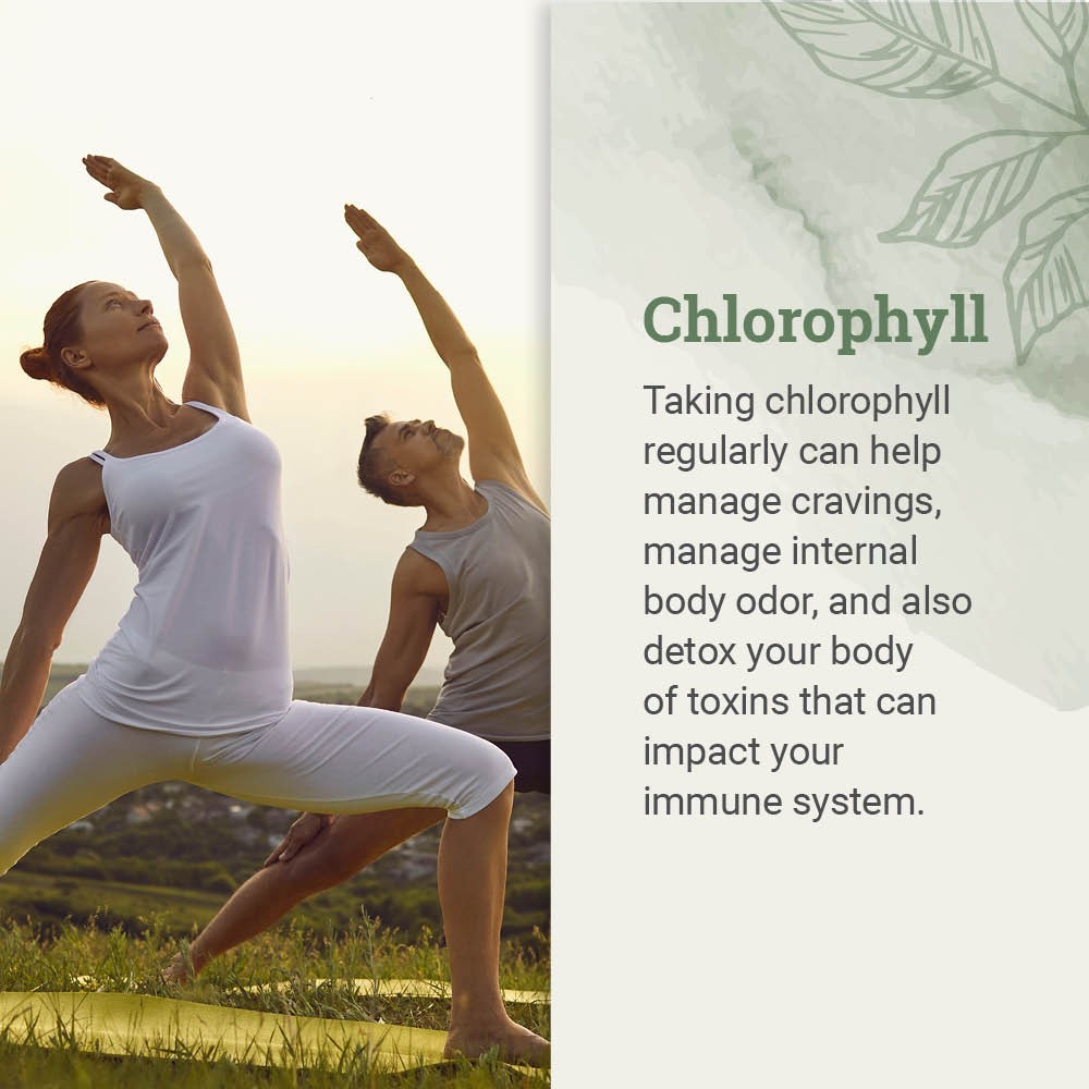 Liquid Chlorophyll, Liquid Drops for Immune System Support