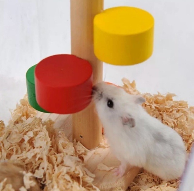 Hamster Paradise Hammock and Toy Set