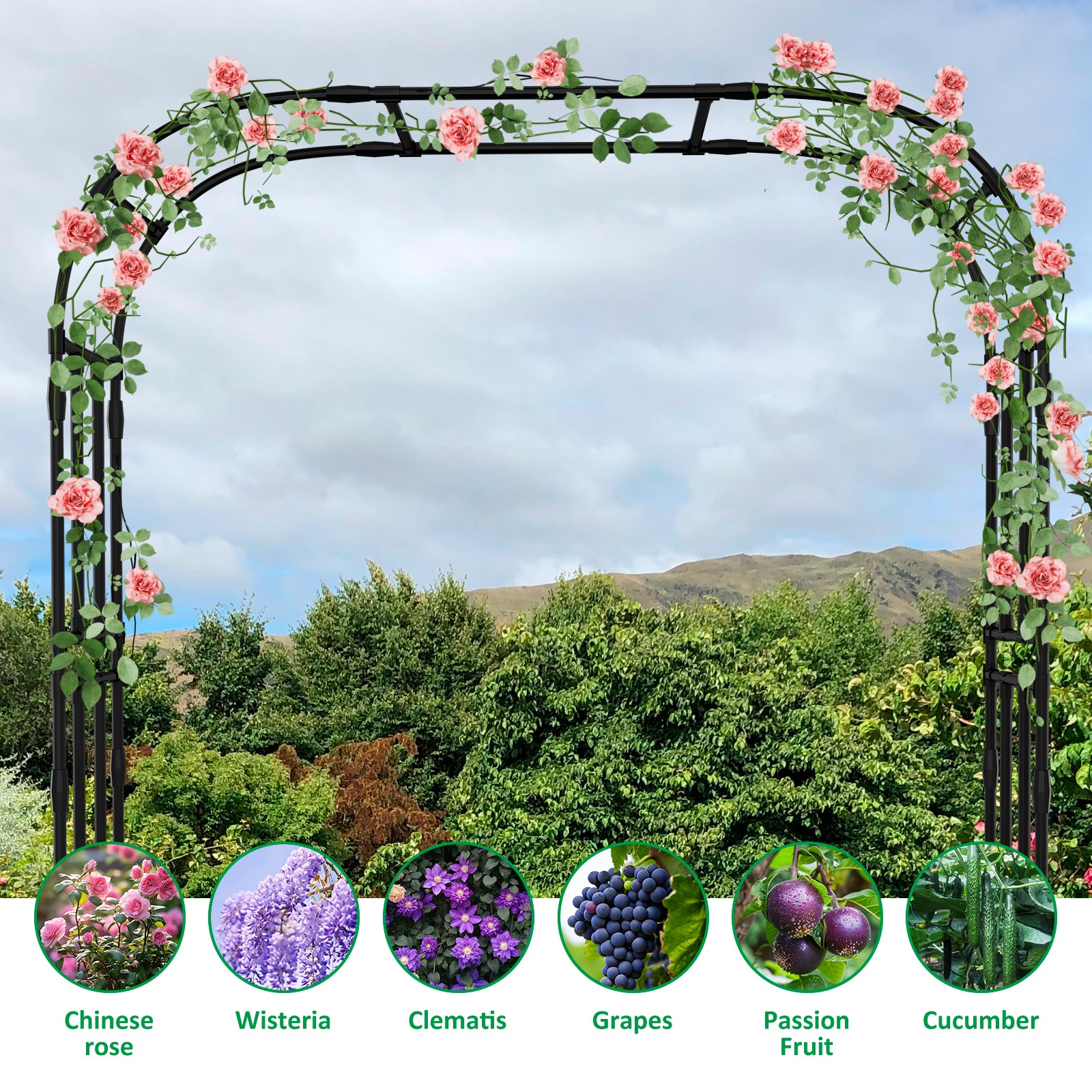 Docred Climbing Plant Trellis - Metal Garden Arch & Arbor Structure for Outdoor.