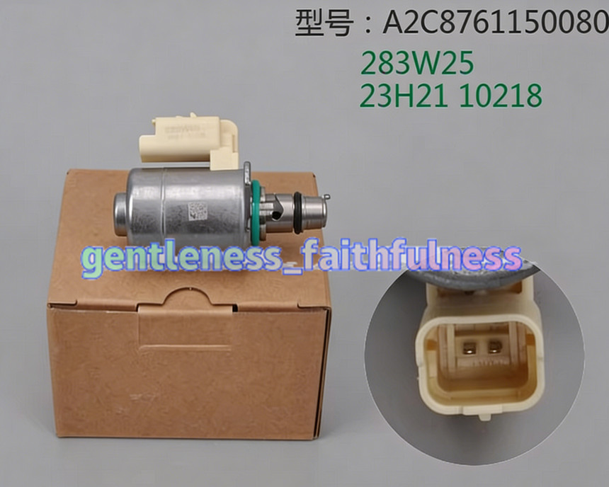 1PC A2C8761150080 Fuel Pump