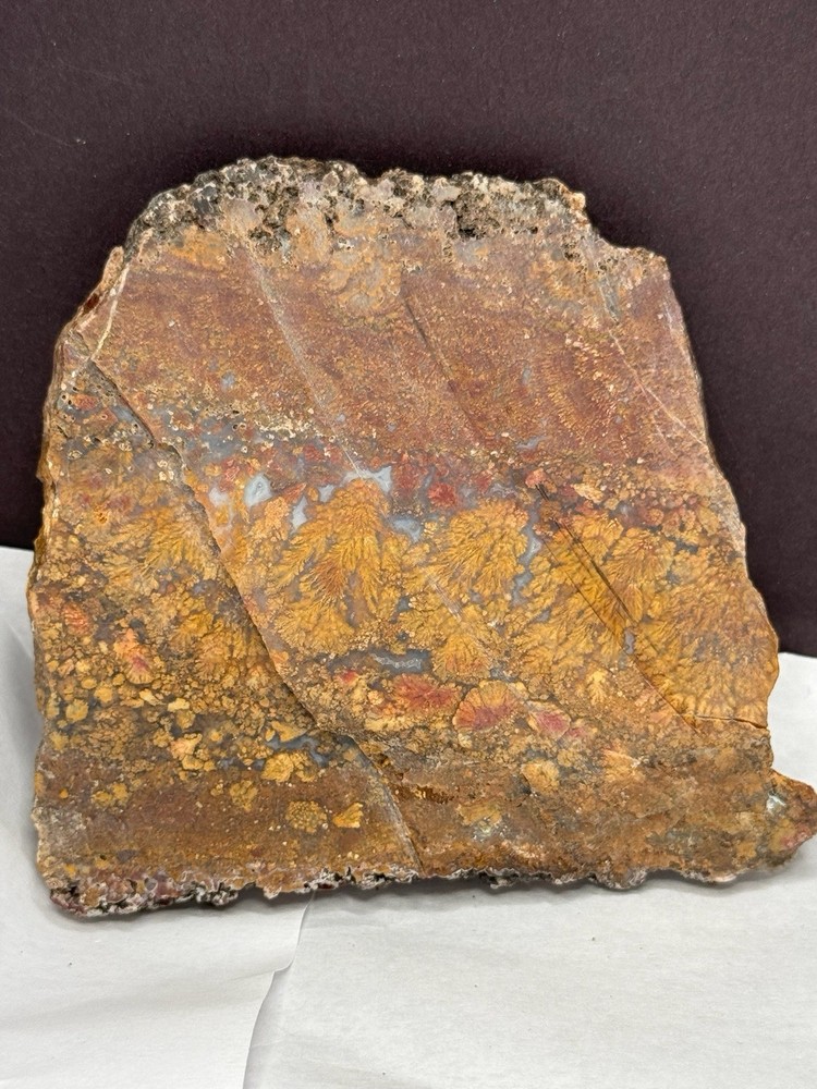 Jasper (Gecko Variscite) from Nevada