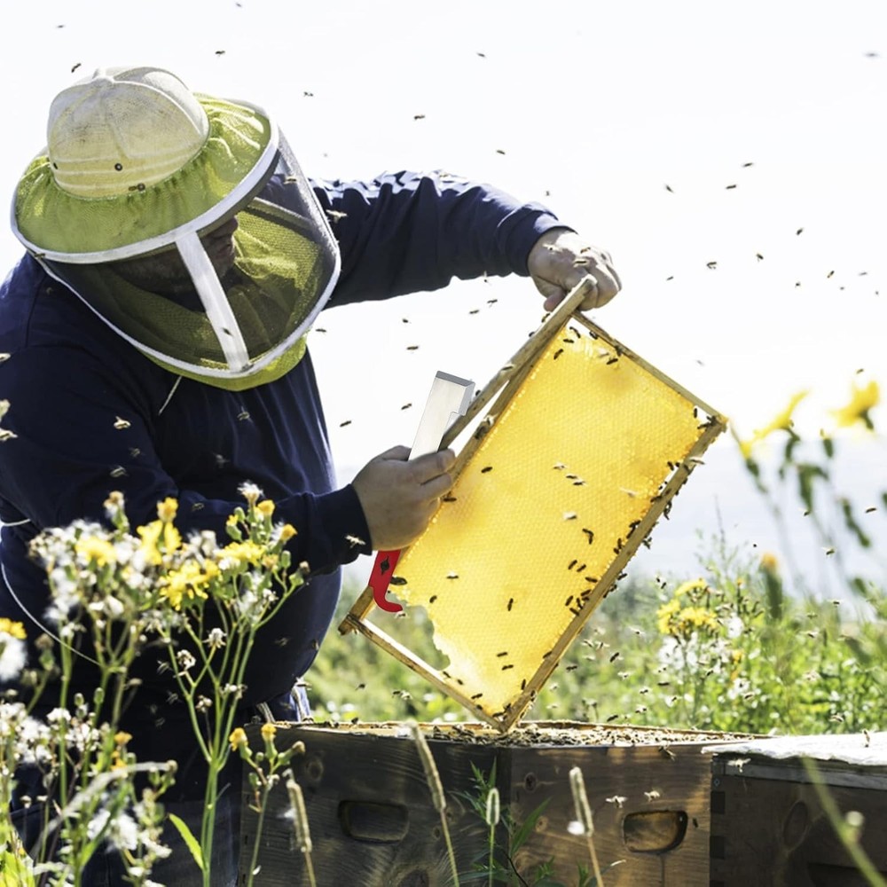 Lightweight Multi-Function Bee Hive Frame Lifter and Scraper - 10.5 Inches
