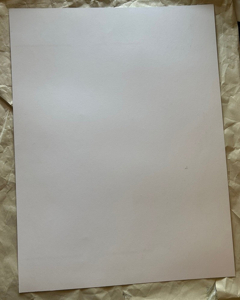 Bridge School Poster Mouse Signed 2016 Neil Young Metallica Not Grateful Dead