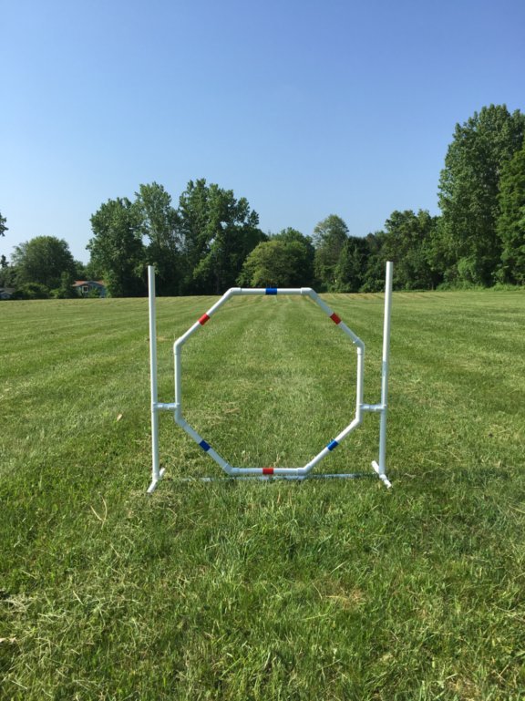 Dog Agility Equipment-Octagon Hoop Jump-Tons of fun and exercise!!! ⭐⭐⭐⭐⭐