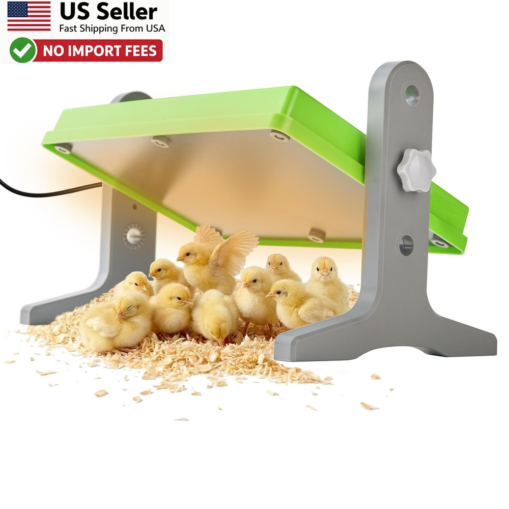 Chick Brooder Heating Plate 12x8 Temperature Height Adjustable Green FROM USA