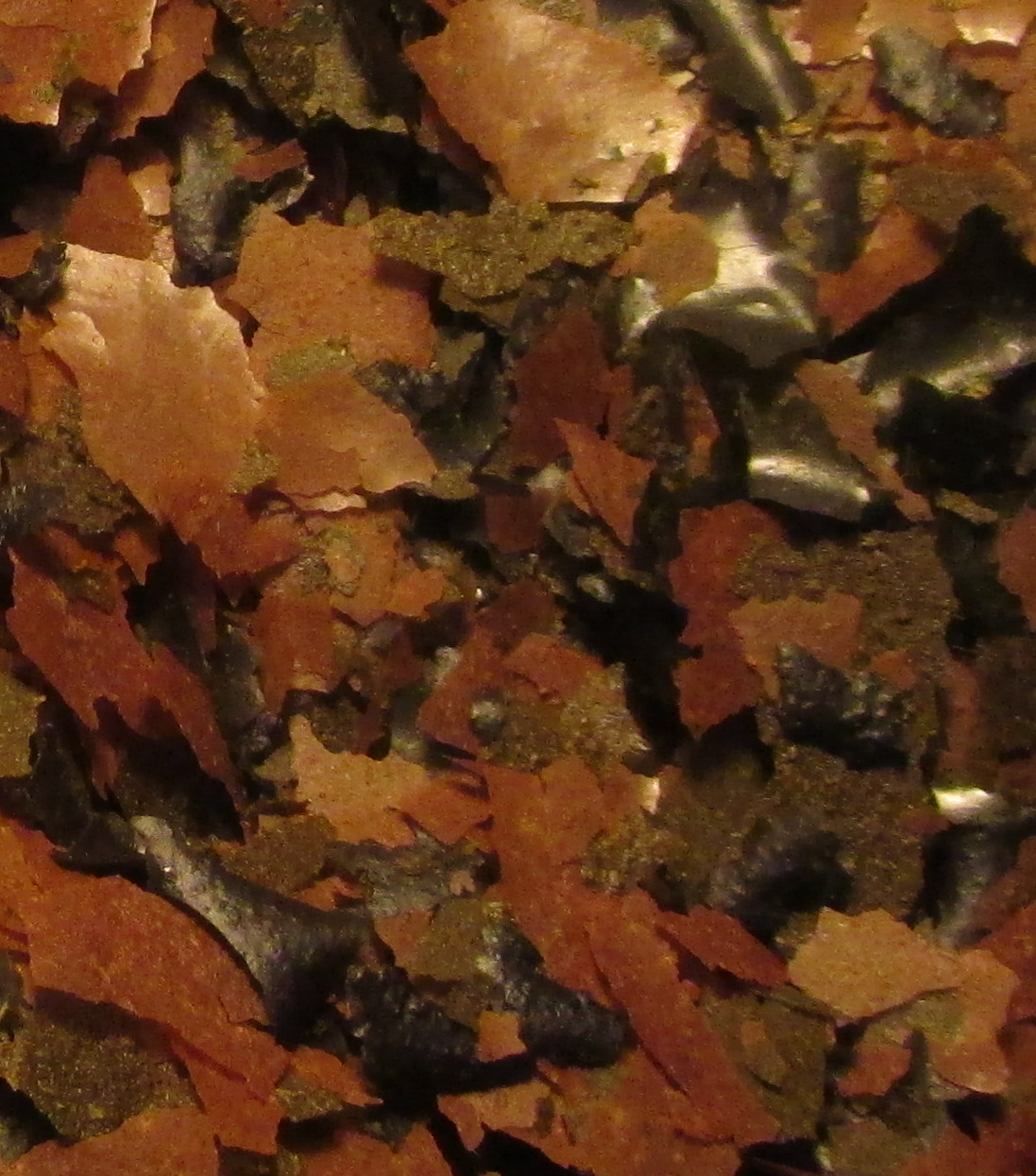 Anti-Parasite Quad-F Flake