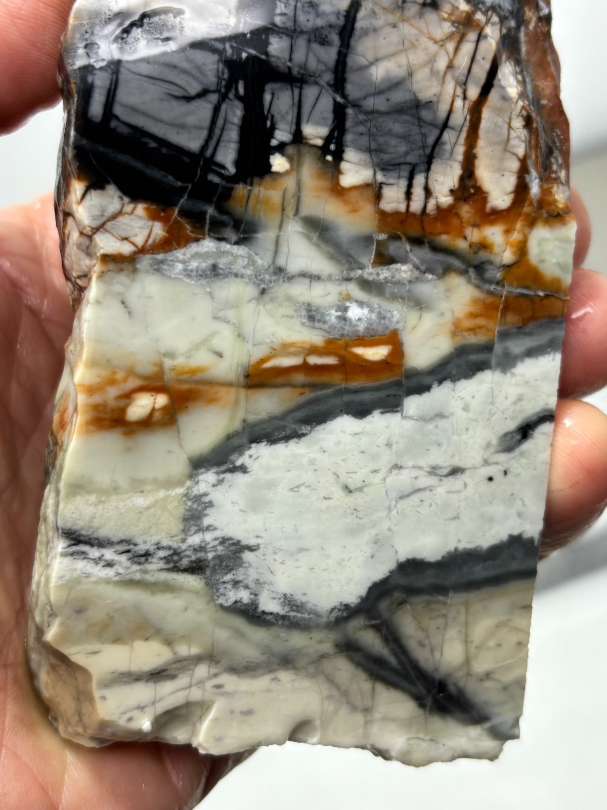 Picasso Marble (Jasper) end Slab Cabbing Lapidary Utah Combo Ship Avail