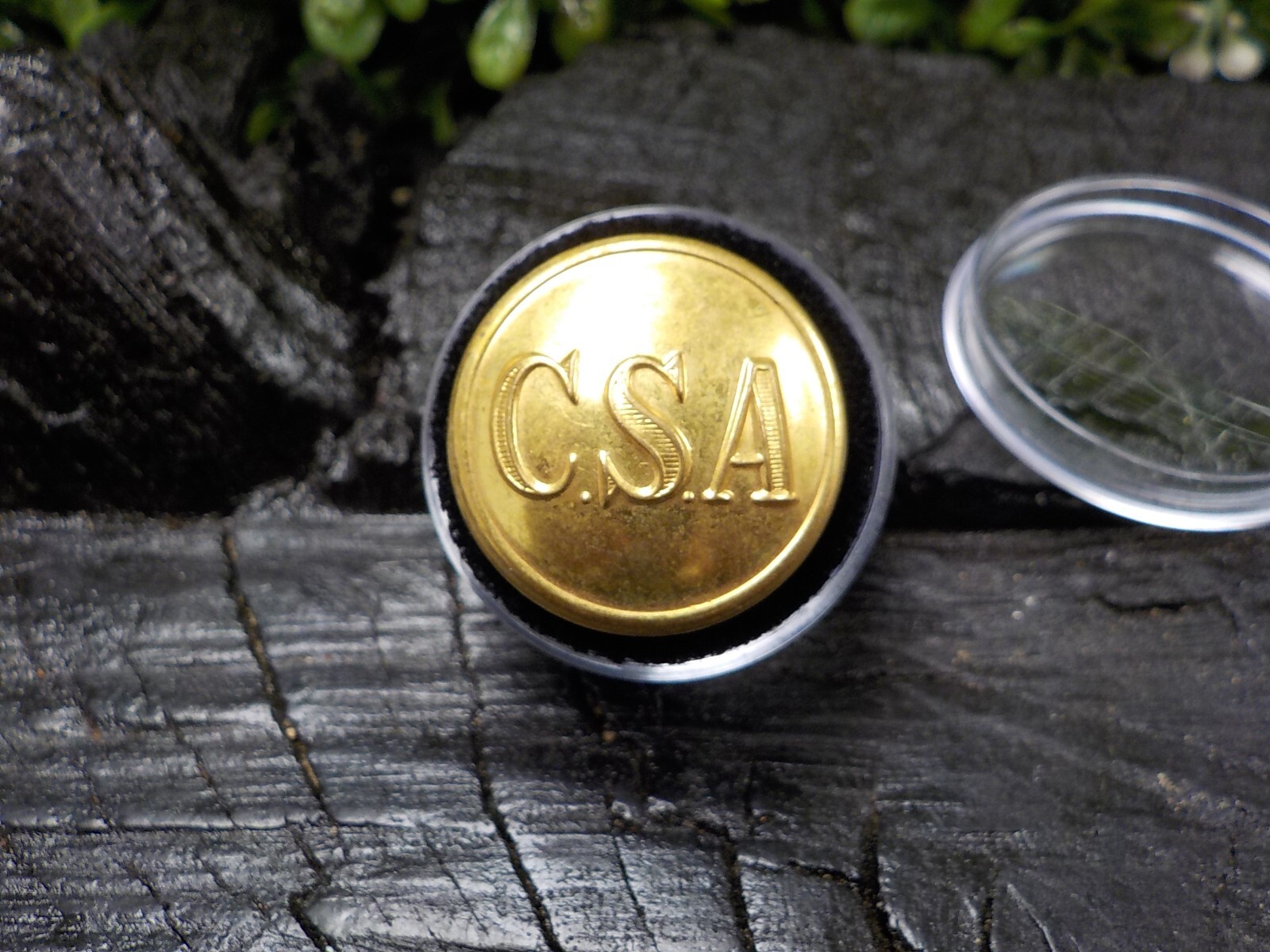 Confederate States of America Coat Button Loaded with Gold Free Button Case