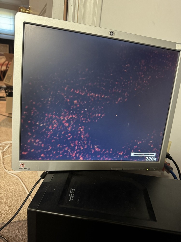 AverMedia Document Camera | Model P0A7B Avervision CP150 CP150B
