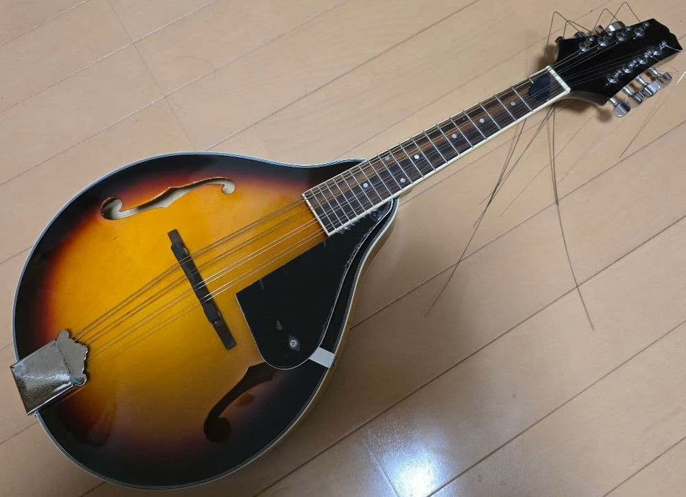 Sunburst 8 string mandolin body