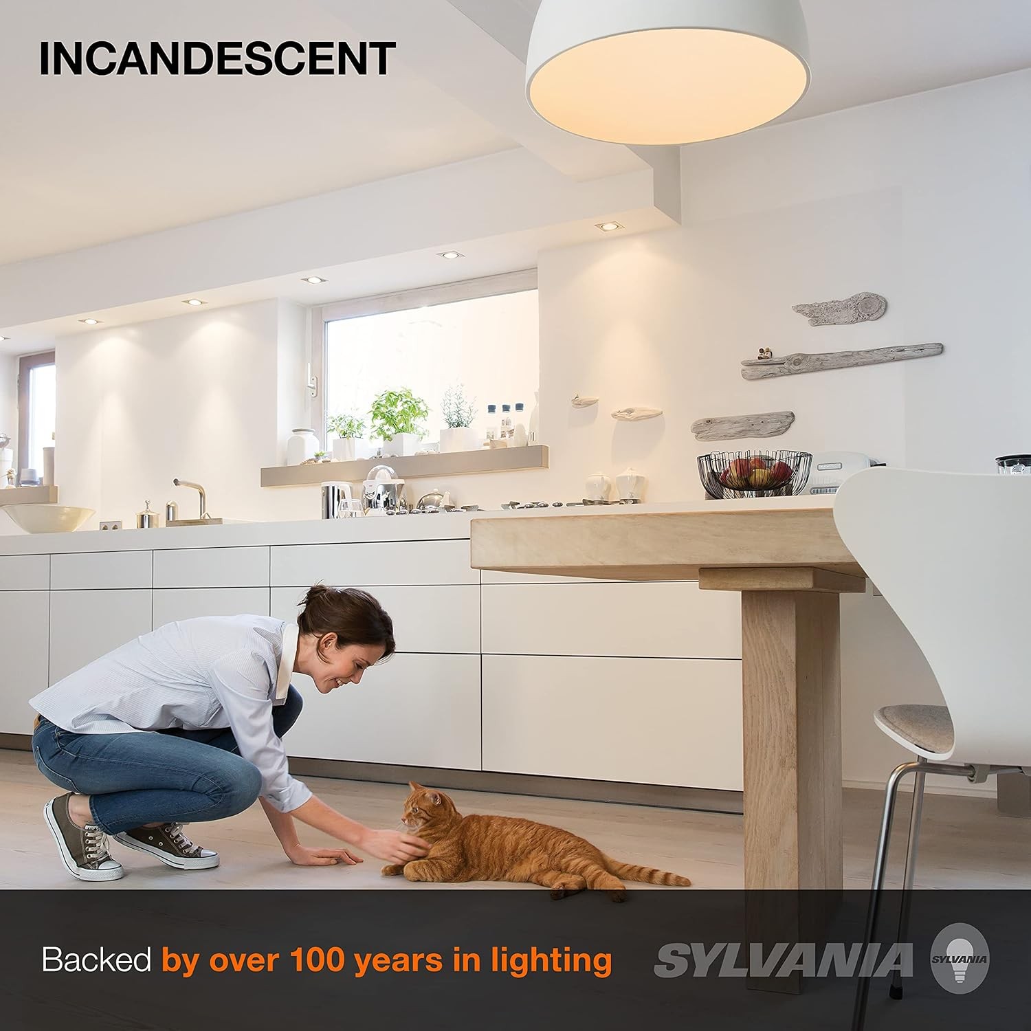 Sylvania Incandescent Light Bulb, 25W A19, Dimmable, Medium Base, 160 Lumens, 28