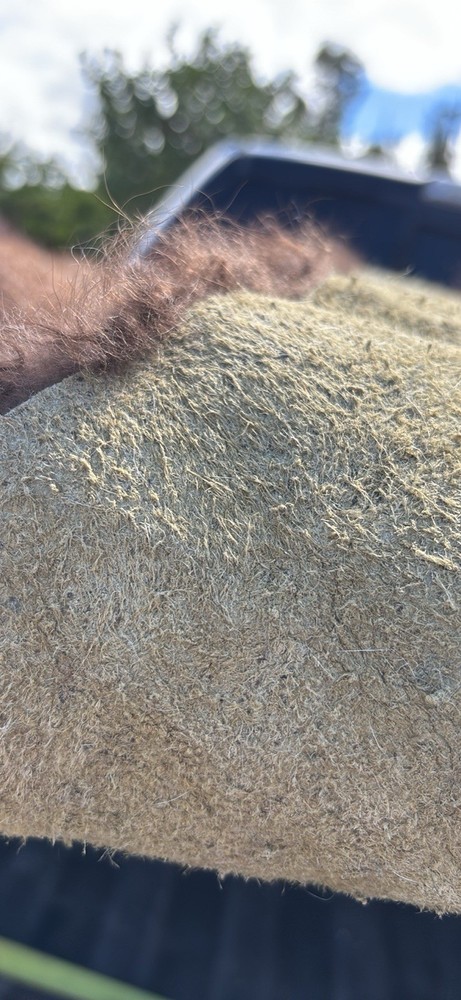 Buffalo / Bison Hide/ Pelt *Very Large* 86”X65” Great Condition