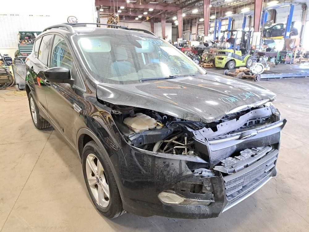 2013 Escape Jack Sku#4260864