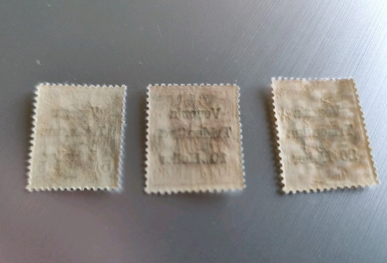 Tax Trentino Alto Adige Bolzano 1918/19 Venice Tridentina above. "TAXE"