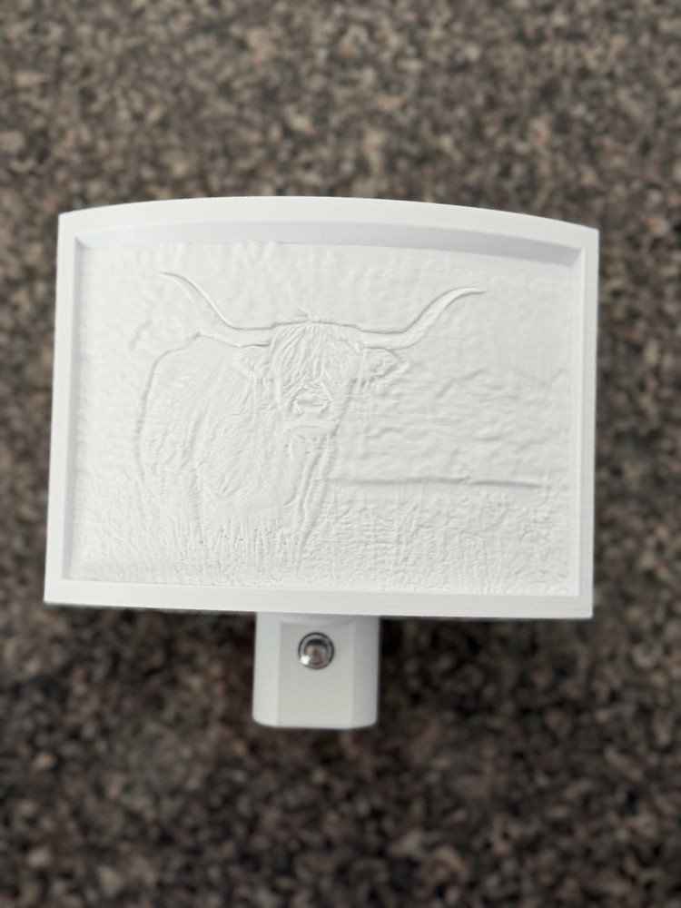 Lithophane 3D Printed LED Night Light- Custom and Personalized - F/S