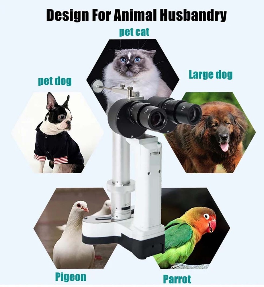 LYLS Hand-held Portable Performance and Economic Slit Lamp Microscope 10/16X