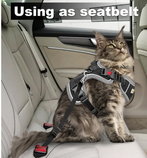 Escape Proof Reflective Cat Harness, Leash & Seatbelt Because YOUR CAT HAS PLANS